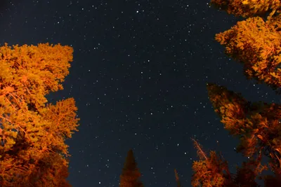 DSC_3730 (Large).JPG